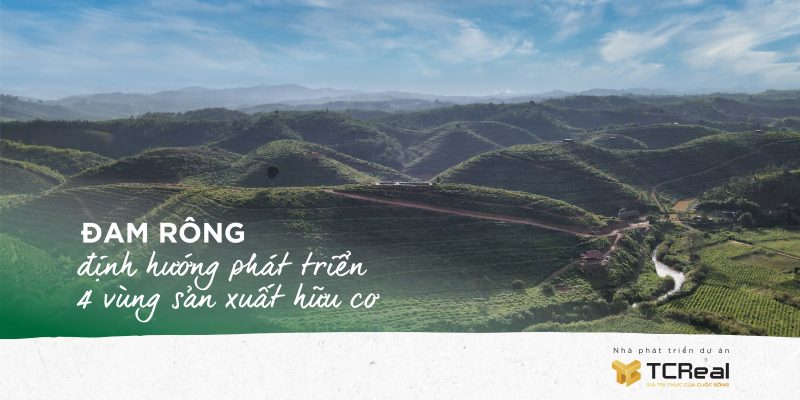 Đam Rông - định hướng phát triển 4 vùng sản xuất hữu cơ