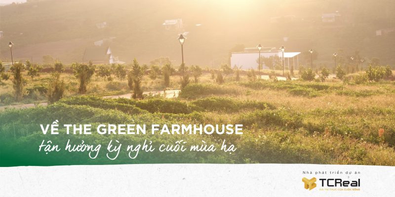 Về THE GREEN FARMHOUSE tận hưởng kỳ nghỉ cuối mùa hạ