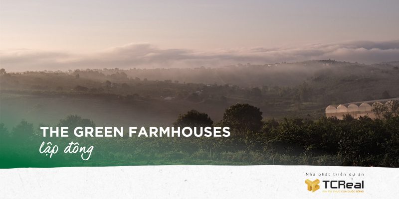 THE GREEN FARMHOUSE lập đông