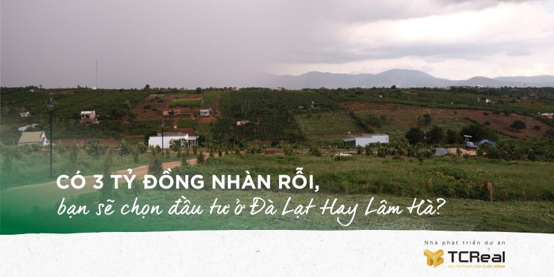 Có 3 tỷ đồng nhàn rỗi, bạn sẽ chọn đầu tư ở Đà Lạt Hay Lâm Hà?