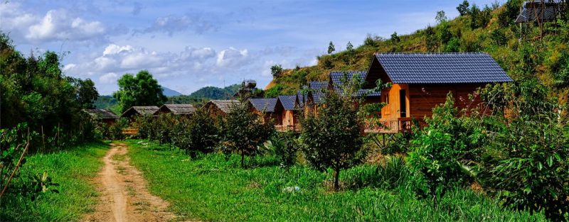 dat-vuon-trang-trai-sau-rieng