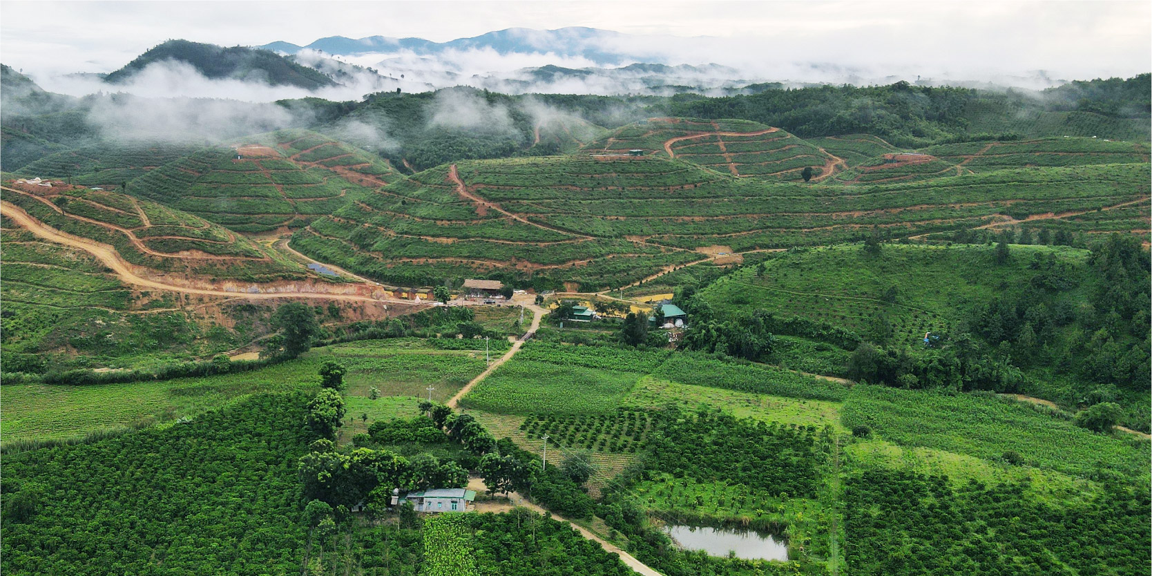 Trang trại sinh thái Tân Lâm Nguyên