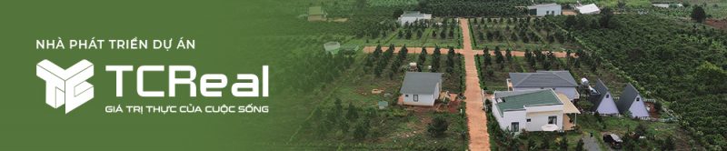 TCREAL - nhà phát triển dự án Bất động sản