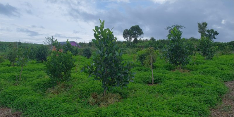 “Tiềm năng vàng” để phát triển nhà đất tại Lâm Hà