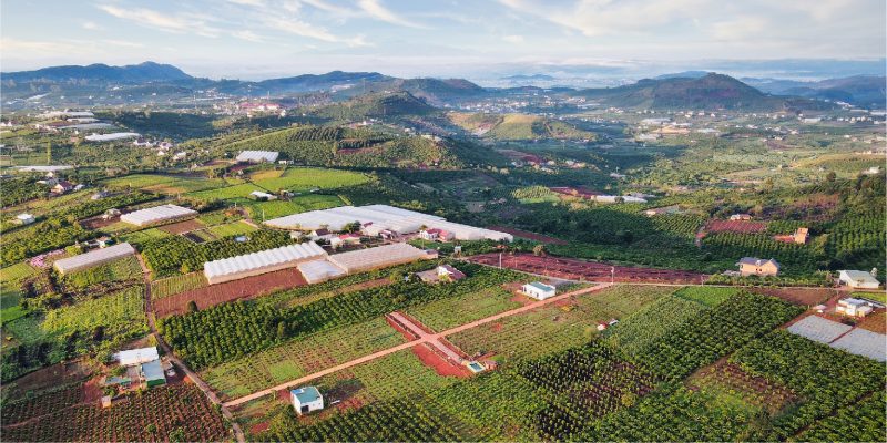 dat-vuon-bao-loc-gia-tot