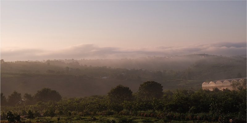 du-an-dat-vuon-bao-loc