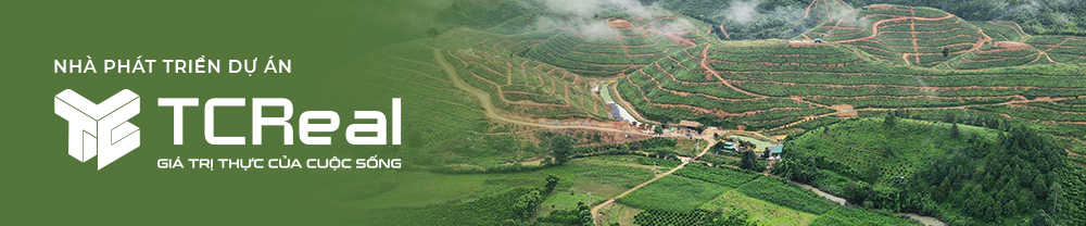 TCREAL - nhà phát triển dự án bất động sản